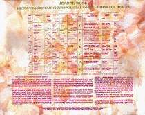 poster.gif (159745 bytes)